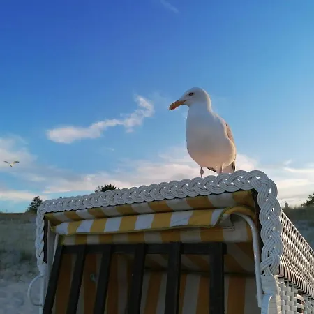 Haus Meeresrauschen Heringsdorf (Usedom)